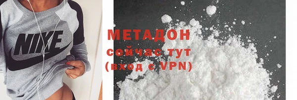 индика Алзамай
