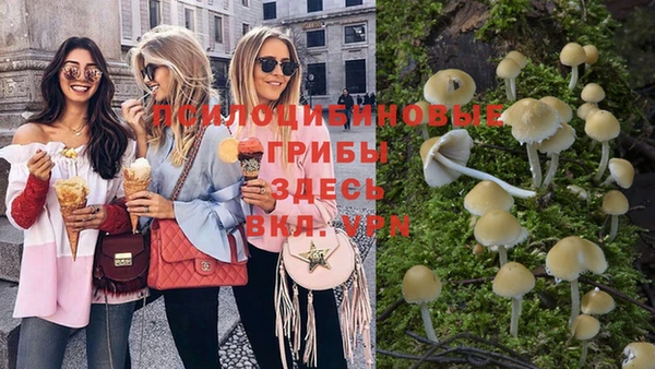 индика Алзамай