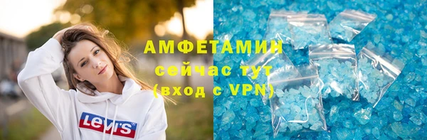 шишки Шадринск