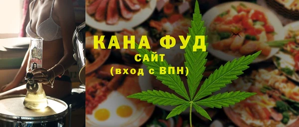 индика Алзамай
