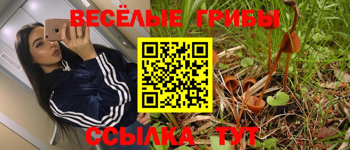 Псилоцибиновые грибы MAGIC MUSHROOMS Березники