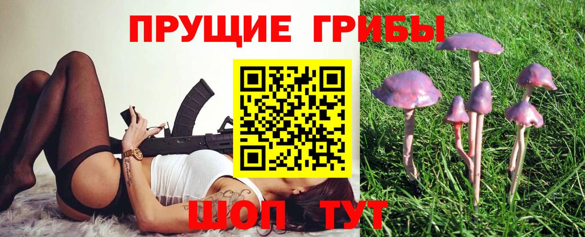 Псилоцибиновые грибы Psilocybe  Вход с VPN  Псилоцибиновые грибы Psilocybine cubensis  Березники 