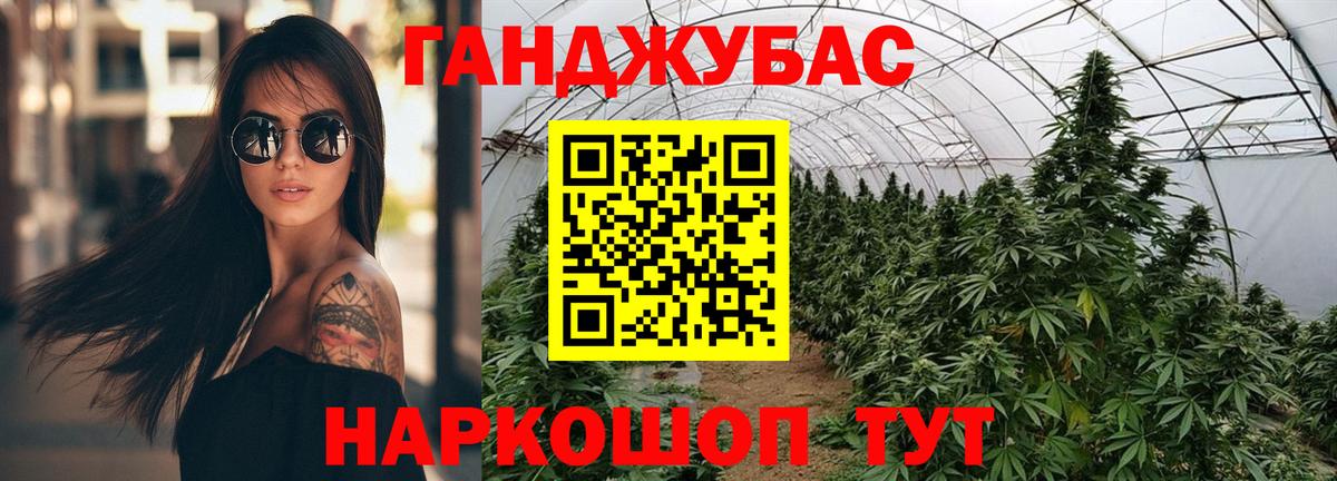 Бошки Шишки планчик Березники